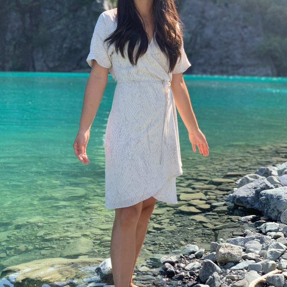 Aritzia Babaton Wallace Cream Patterned Wrap Dress